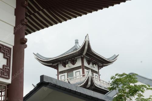 DSC02747