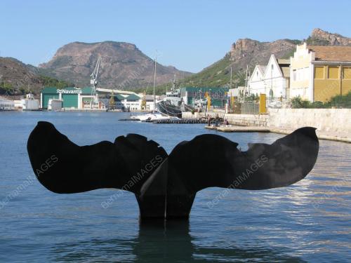 WHALE