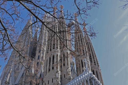 SAGRADA FAMILIA