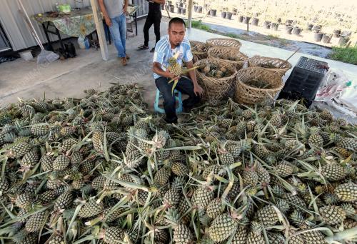 FE06_03042019_PETANI
