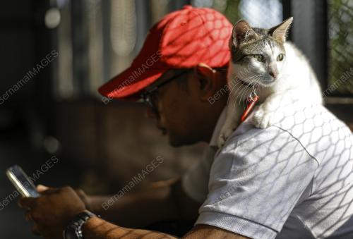 TAMAN KUCING CYBERJAYA