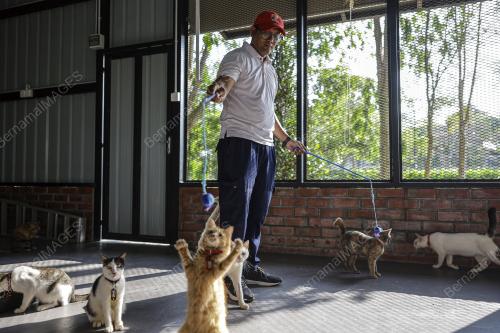 TAMAN KUCING CYBERJAYA