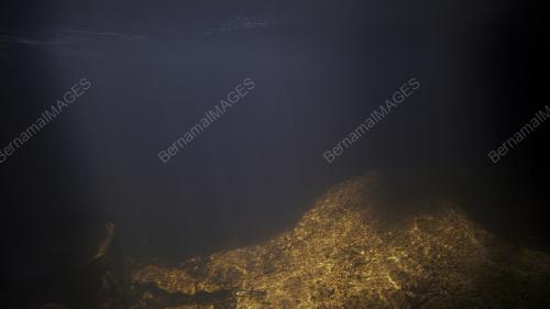 FEA00_18092018_SPA_UDANG_REDANG-3