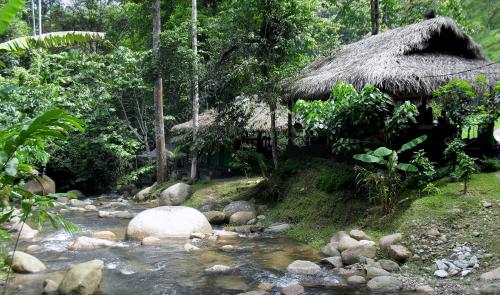 FEA01_03012012_TANAH_AINA