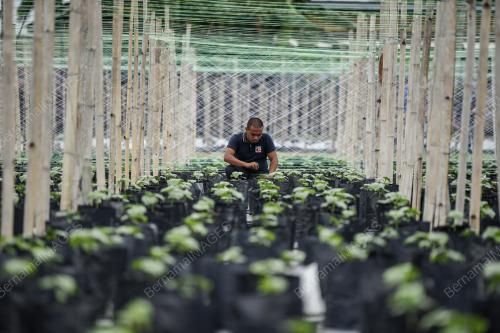 FEA01_03042019_PETANI
