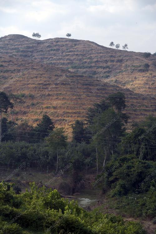 FEA01_04032015_PEMBALAKAN