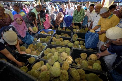 FEA01_06082018_DURIAN