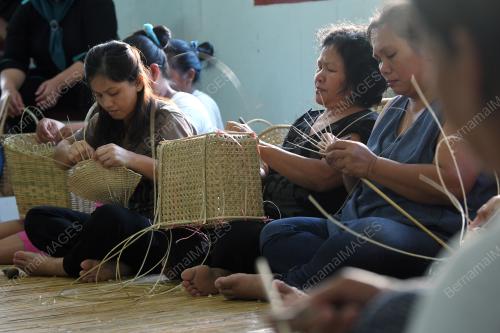 FEA01_09082018_ROTAN_KOTA_BELUD