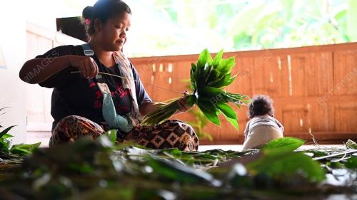ORANG ASLI TEMIAR