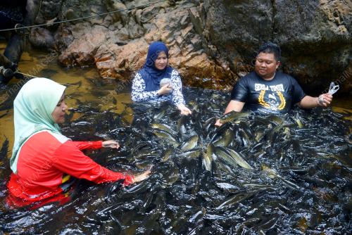FEA01_10102017_SANTUARI_KELAH