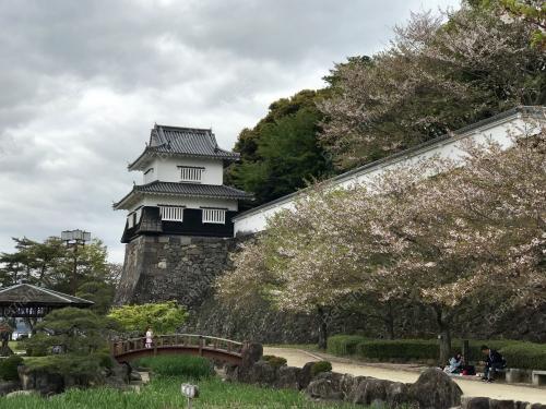 THE HYPNOTIC CHARM OF OMURA