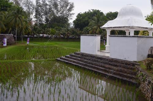 FEA01_13062012_LAMAN_PADI