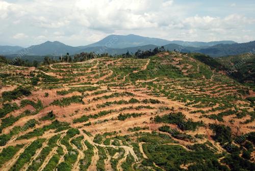 KAMPUNG BERING