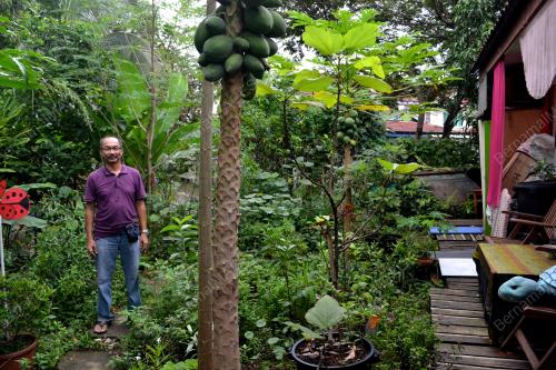 FEA01_15012016_TAMAN