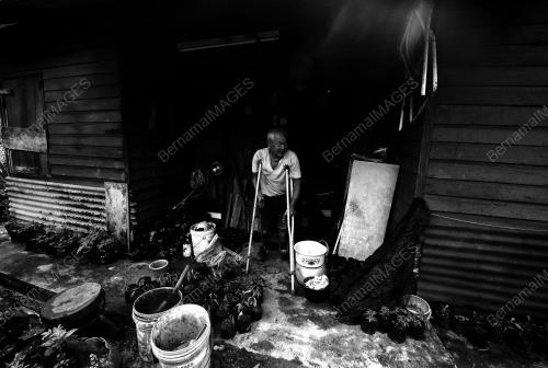 FEA01_15022012_AH_TONG
