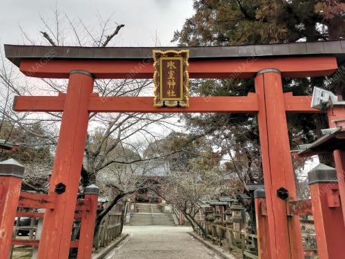 GERBANG TORII KUIL HIMURO