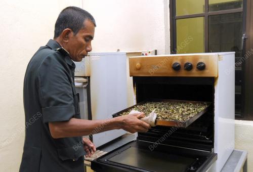 FEA01_19072014_MISAL_KUCING