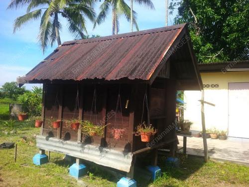 FEA01_26072016_JELAPANG