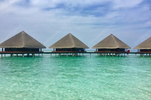 FEA01_26122018_MALDIVES