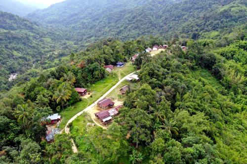 PENDIDIKAN ORANG ASLI