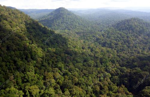 FEA01_29122015_HUTAN_SABAH