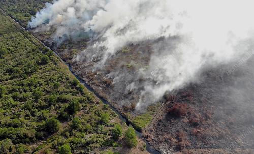KEBAKARAN HUTAN TANAH GAMBUT DI ROMPIN