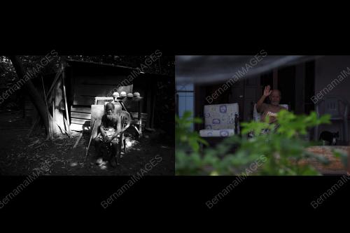 FEA01_31122015_ORANG_HUTAN