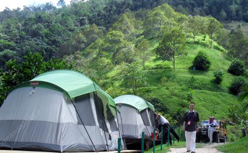 FEA02_03012012_TANAH_AINA