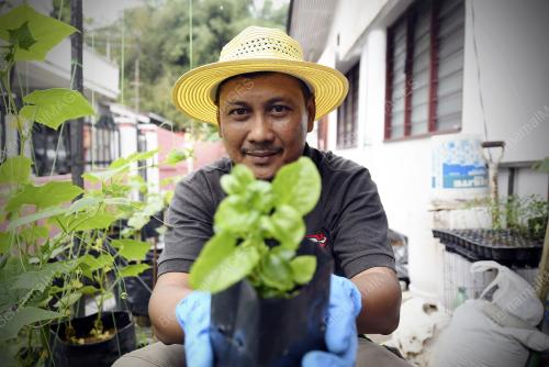 UTUSAN JURUFOTO