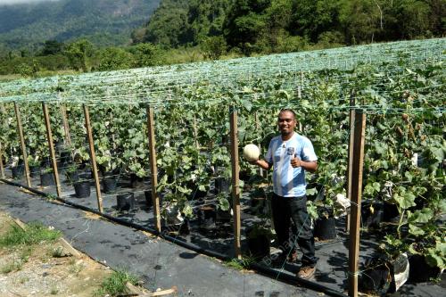 FEA02_03042019_PETANI