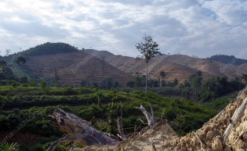 FEA02_04032015_PEMBALAKAN