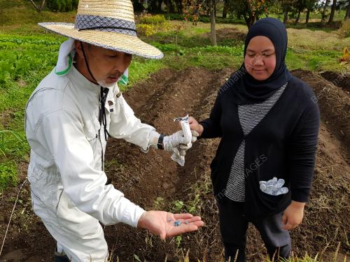 FEA02_08022018_HOMESTAY