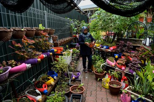 PROJEK KEBUN BANDAR DAMAI SARI DI PPR WANGSA SARI