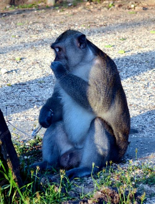 FEA02_10012012_BALI1