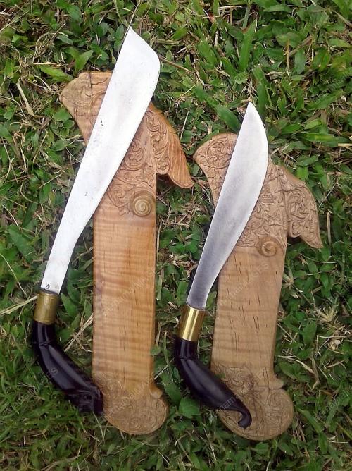 FEA02_10072017_GOLOK_KEDAH