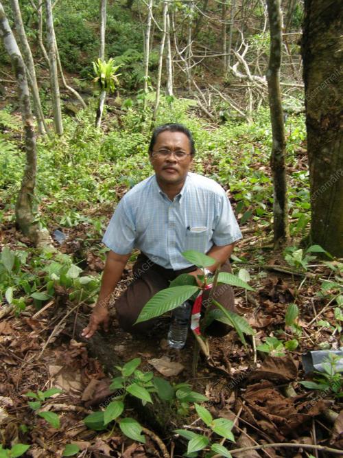 FEA02_16062014_LADANG