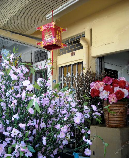 FEA02_17012012_CNY