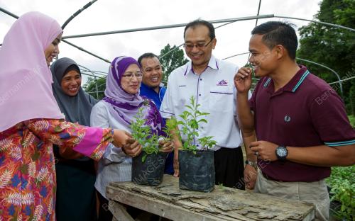 FEA02_23122016_UMT_KELULUT