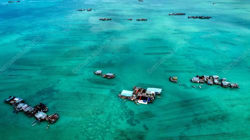 RUMPAI LAUT