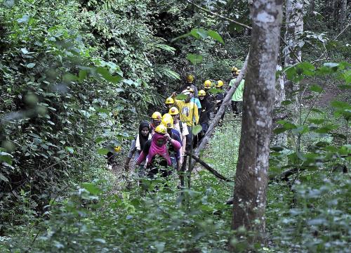 FEA02_18122013_MEREDAH_HUTAN