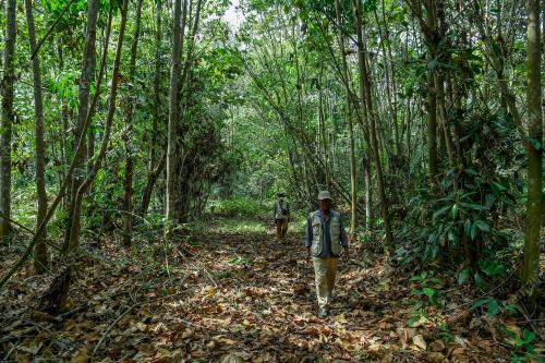 HUTAN_SIMPAN