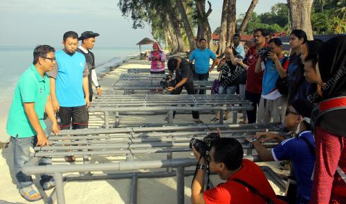 FEA02_20112015_TAMAN_LAUT