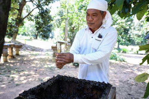 USAHAWAN MADU KELULUT