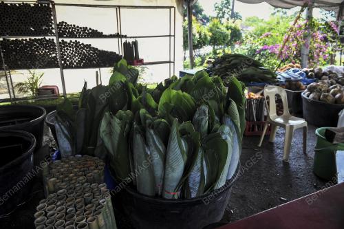 FEA02_24062017_LEMANG_LEREK
