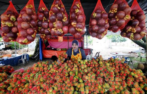 FEA02_26122012_BUAH_BUAHAN