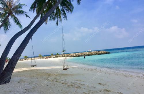 FEA02_26122018_MALDIVES