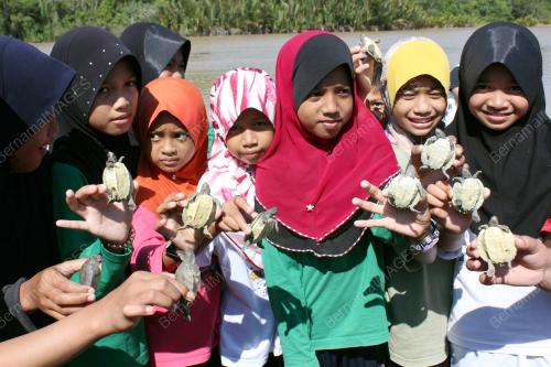 FEA02_27122012_TUNTUNG
