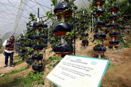 FEA02_28112014_AGROTEKNOLOGI