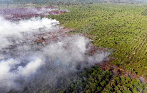 KEBAKARAN HUTAN TANAH GAMBUT DI ROMPIN