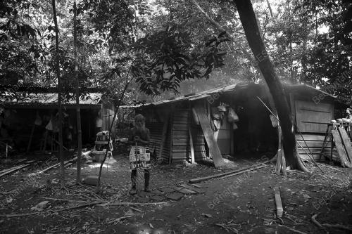 FEA02_30122015_ORANG_HUTAN